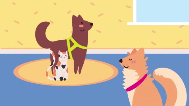 Cute domestic mascots animation — Stockvideo