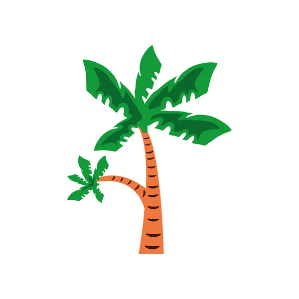 熱帯ヤシの木 — ストックベクタ