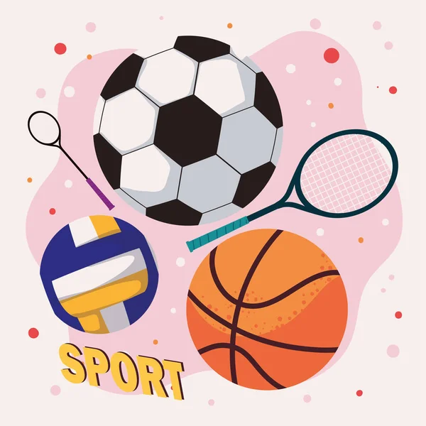 Piłki i rakiety sportowe — Wektor stockowy