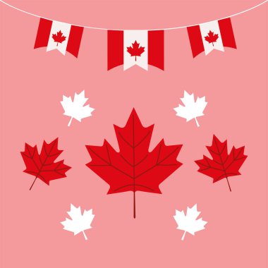 canada day party