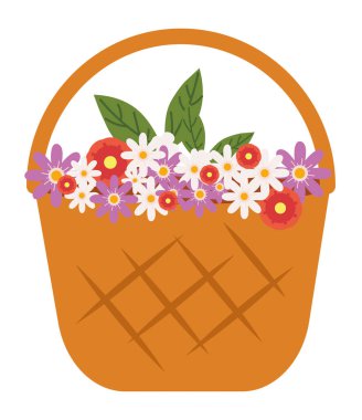 Sepette bahar çiçekleri