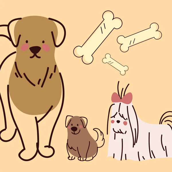Dog pets and toys — Stock vektor
