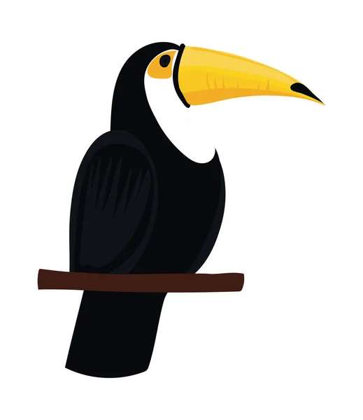 Ikona toucan bird — Stockový vektor