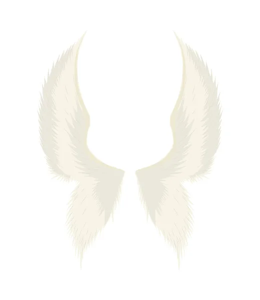 Big angel wings — Stockový vektor