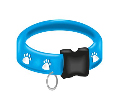 Köpek için tasma