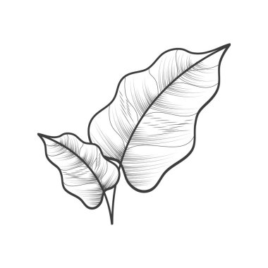 Doğa, bitkisel simgeyi izole eder