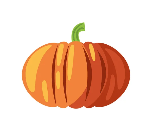 Pumpkin Vegetable Isolated Icon Flat — Stock Vector