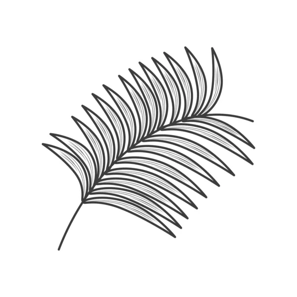 枝叶植物图标隔离 — 图库矢量图片