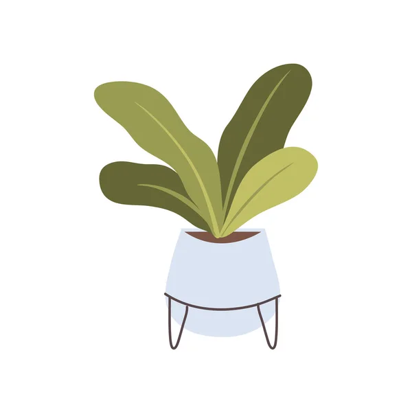 Houseplant Decoration Icon Isolated Flat — Stock Vector