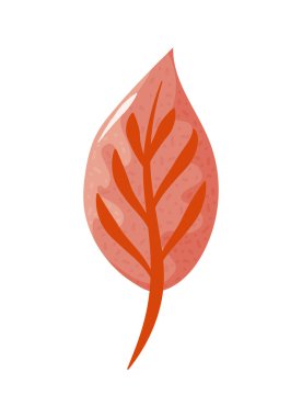 Sonbahar yaprağı yaprak simgesi izole edildi