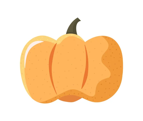 Pumpkin Food Icon Flat Isolated — Stock Vector