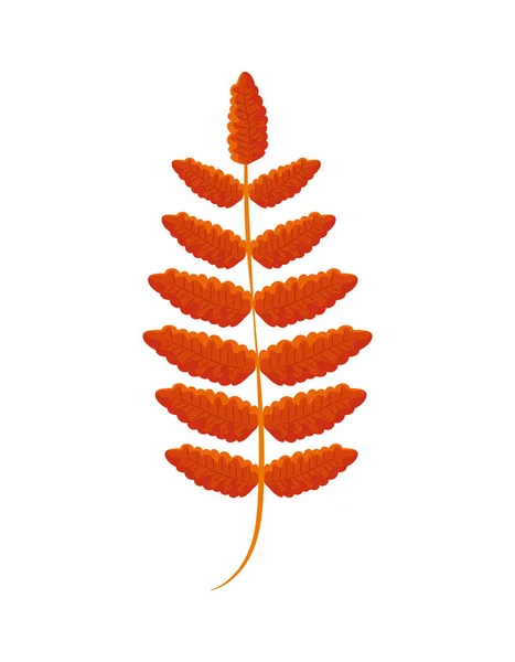 Ikona Podzimního Listu — Stockový vektor