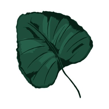 Egzotik yaprak doğası ve botanik simgesi