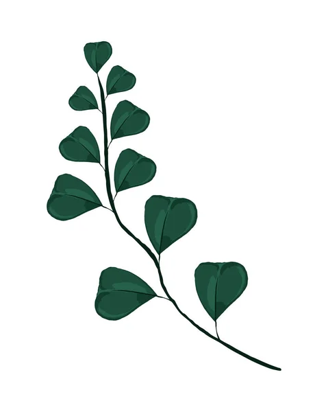 叶绿素自然与植物学图标 — 图库矢量图片
