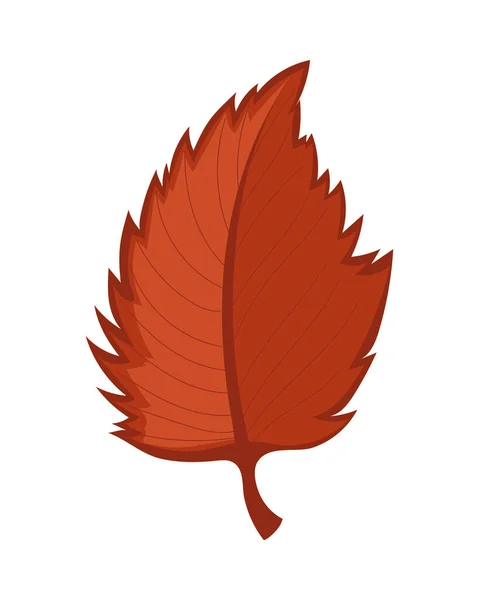 Löv Natur Höst Ikon Isolerad — Stock vektor