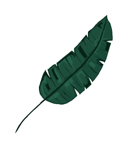 Naturaleza Hoja Palma Icono Botánico — Vector de stock