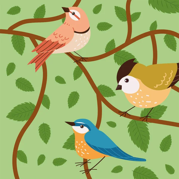 Kleine Vogeltjes Boombladeren — Stockvector