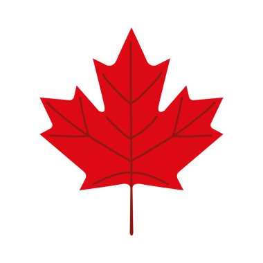 Akçaağaç yaprağı simgesi izole edilmiş vektörü