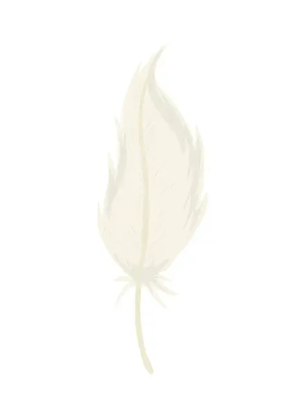 Feather Vector Icon White Background — стоковый вектор