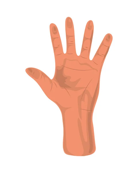 Поднятая Иконка Открытой Руки — стоковый вектор