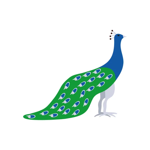 Peacock Exotic Bird Icon Isolated — Vector de stock