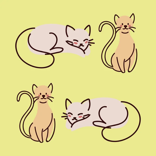 Set Cats Pets Animal — Stockvector