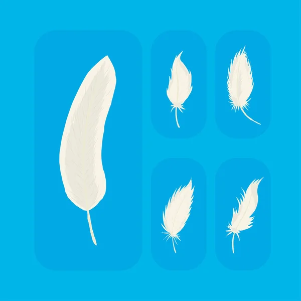 Icons White Feathers Blue Background — Image vectorielle