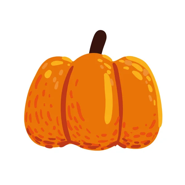 Pumpkin Vegetable Icon Isolated Flat — Stock vektor