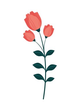 Çiçekler bitki ikonunu izole eder