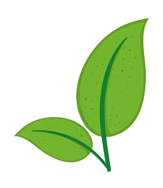 Folhas Verdes Natureza Ícone Isolado — Vetor de Stock