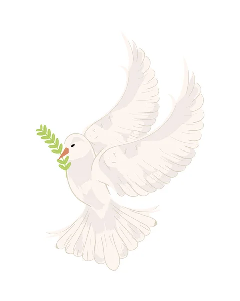 Dal Simgesi Izole Edilmiş Barış Güvercini — Stok Vektör