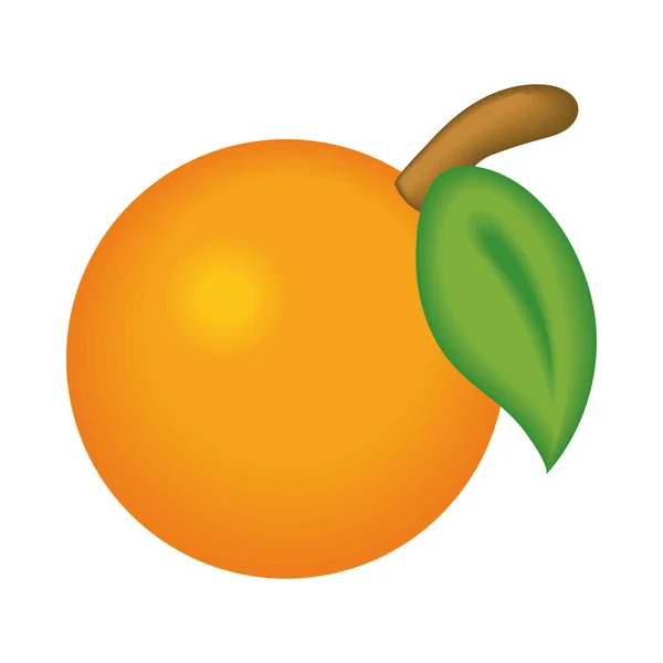 Icono Fruta Naranja Aislado Plano — Vector de stock