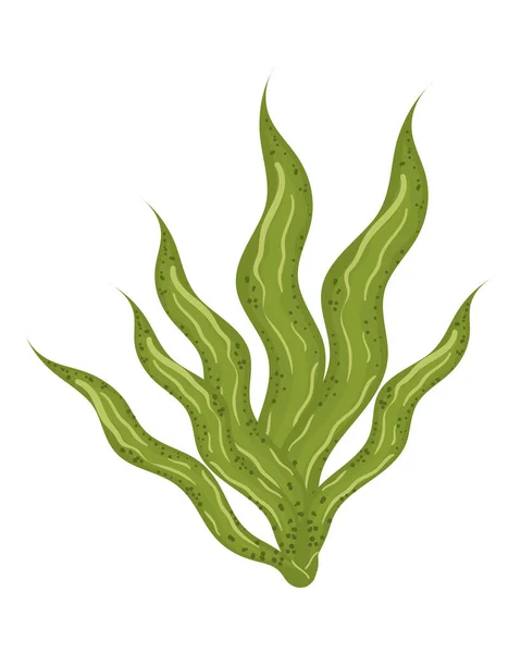 Seaweed Sea Icon Flat Isolated — Stock vektor