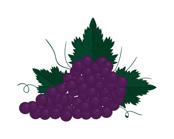 Bos Druiven Fruit Pictogram Geïsoleerd Plat — Stockvector