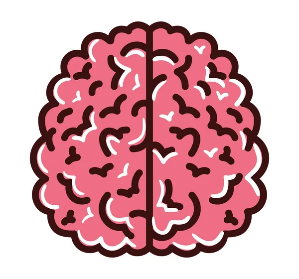 Mänsklig Hjärna Ikon Isolerad Platt — Stock vektor