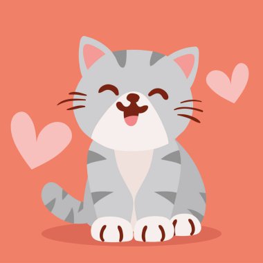 Gri, sevimli, sevgi dolu bir kedi.