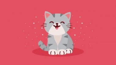 Sevimli küçük gri kedi maskotu animasyonu, 4k video animasyonu