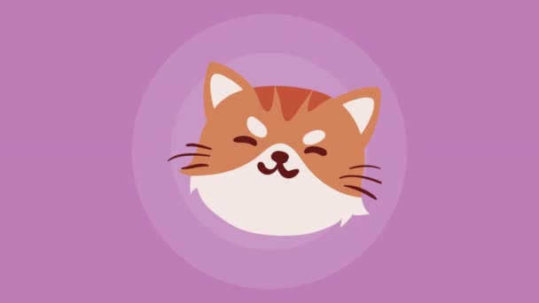 Cute Little Cat Head Animation Video Animated — 图库视频影像
