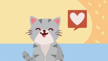 Sevimli küçük gri kedi maskotu animasyonu, 4k video animasyonu