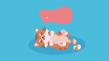 Sevimli küçük kedi maskotu animasyonu, 4k video animasyonu