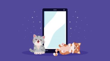 Akıllı telefon animasyonu olan sevimli kediler, 4k video animasyonu