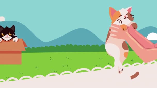 Cute Cats Camp Animation Video Animated — Αρχείο Βίντεο