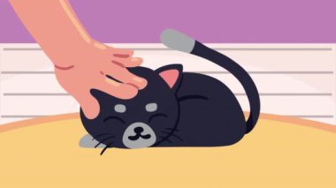 Sevimli küçük siyah kedi animasyonu, 4k video animasyonu