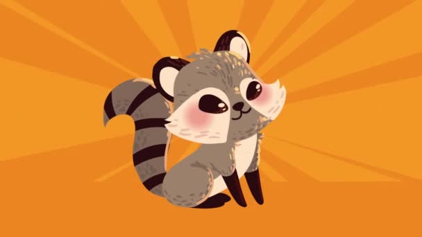 Raccoon Animal Autumn Animation Video Animated — Stock Video