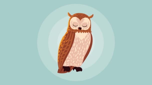 Owl Animal Autumn Season Animation Video Animated — Vídeo de Stock