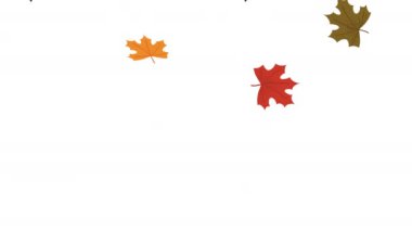 Sonbahar sezonu yaprakları desen animasyonu, 4k video animasyonu