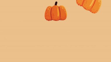 Sonbahar sezonu balkabağı deseni, 4k video animasyonu