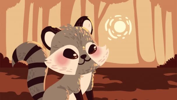 Raccoon Animal Autumn Animation Video Animated — Vídeo de stock