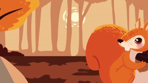 Chipmunk Animal Autumn Season Animation Video Animated — Stock Video