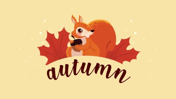 Autumn Season Lettering Animation Video Animated — Stock Video